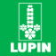 Lupin